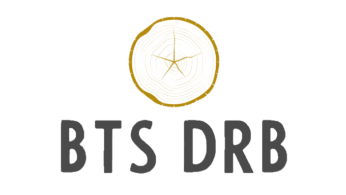 logo bts drb.png